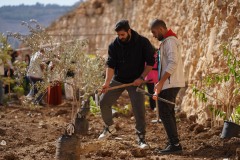 صور-من-النجاح