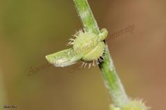 PICTURES-245_0