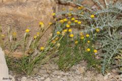PICTURES-284_0
