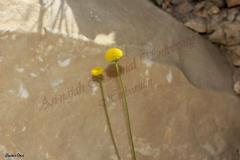 PICTURES-321_0
