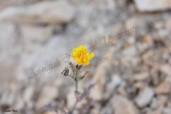 Picture-022